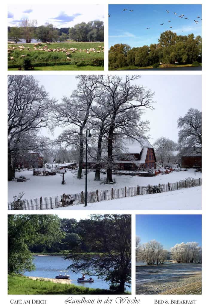 Collage Winter