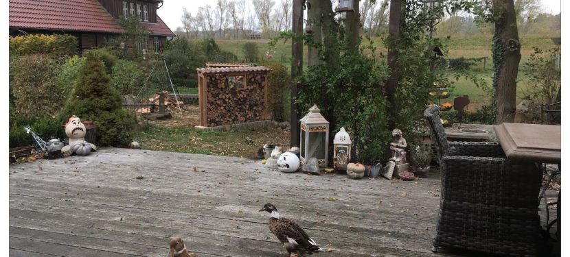 Herbstzauber im Vintage-Stil Herbstzauber im Vintage-Stil