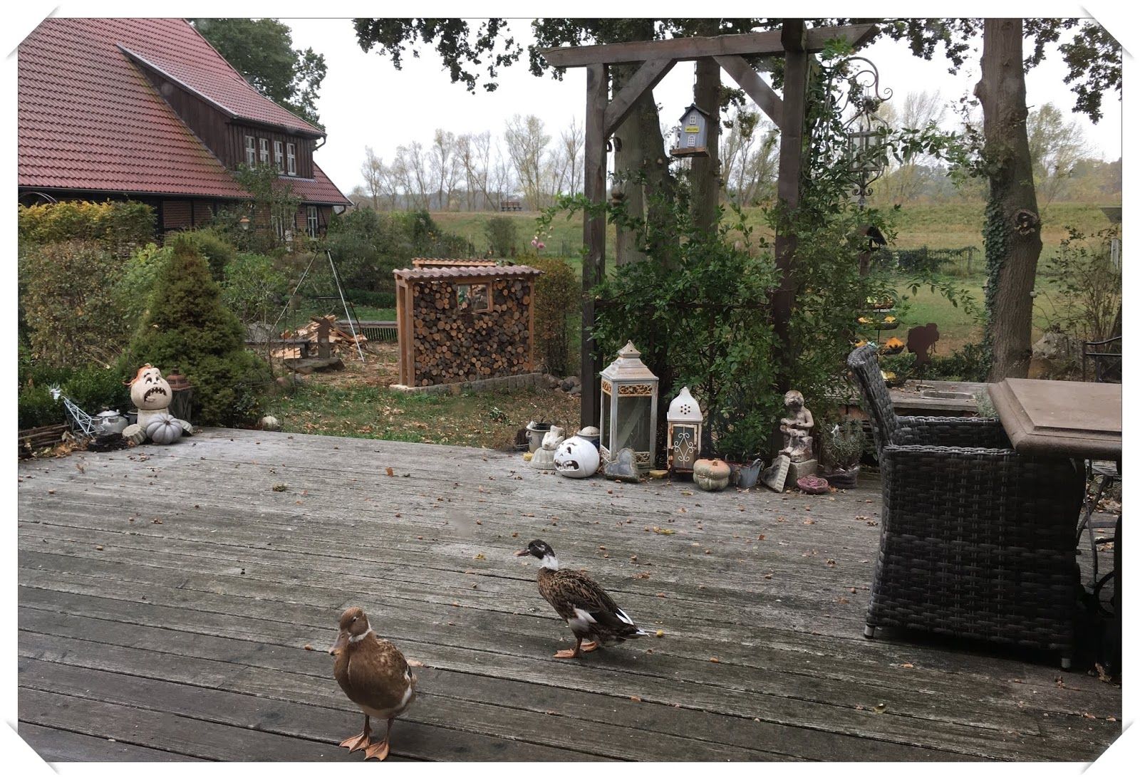 Herbstzauber im Vintage-Stil