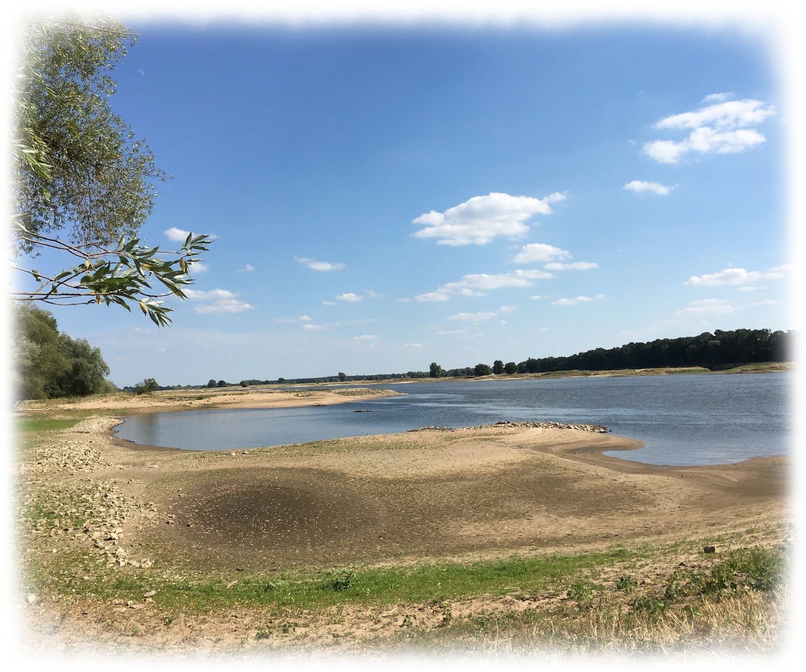 Riesige Strände an der Elbe