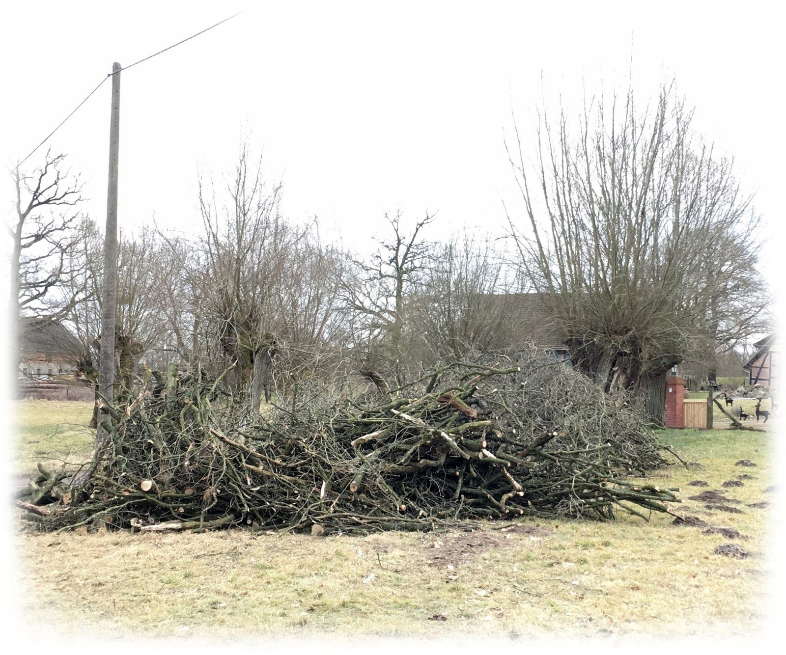 Nahrung für unser Osterfeuer