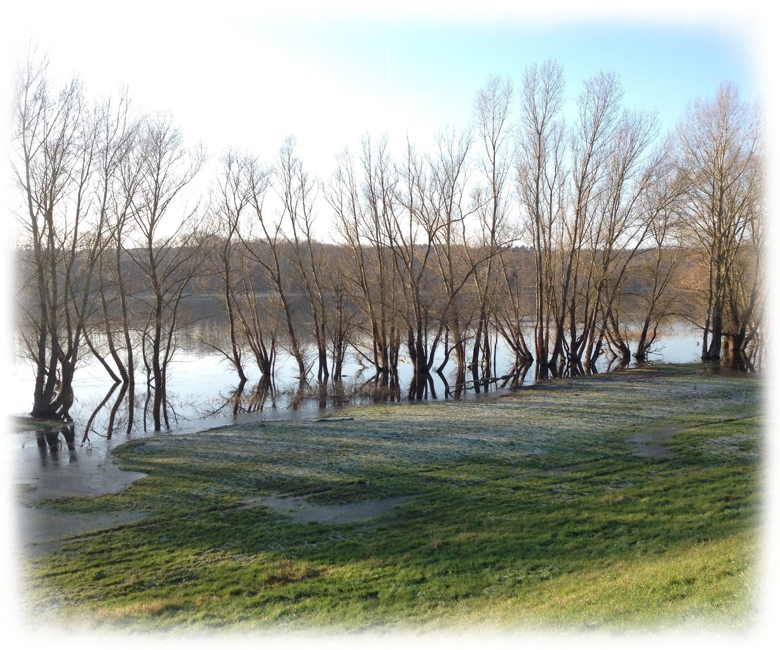Elbe und ihre Auen