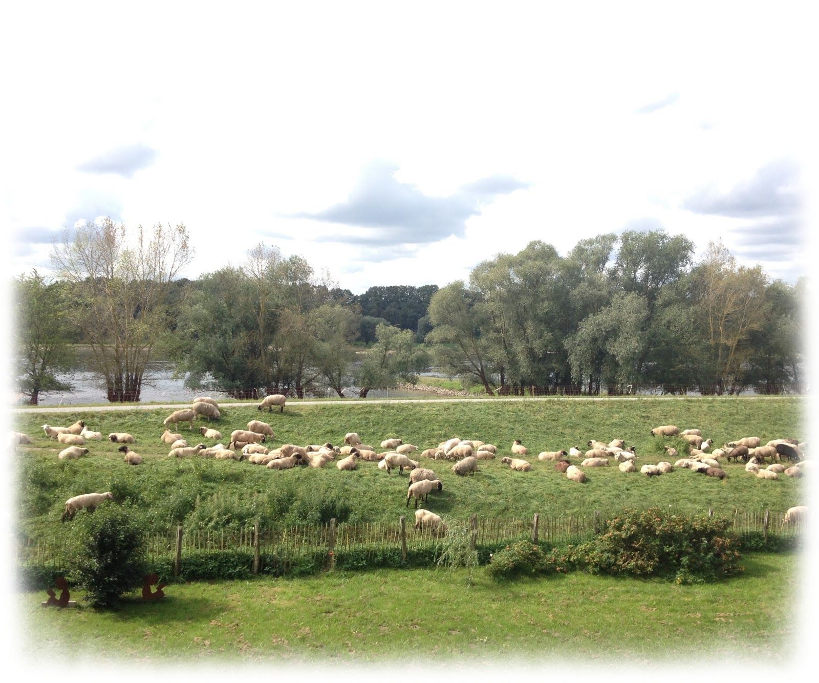 Tschüss Sommer - hallo Herbst!