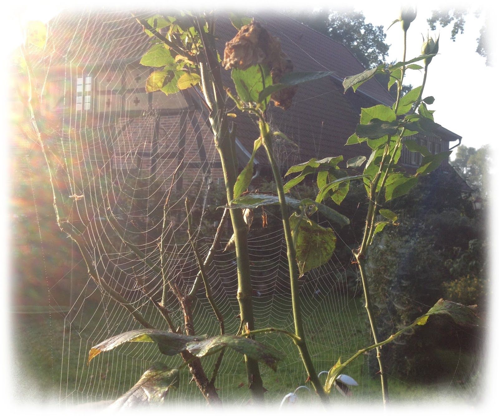 Tschüss Sommer – hallo Herbst!
