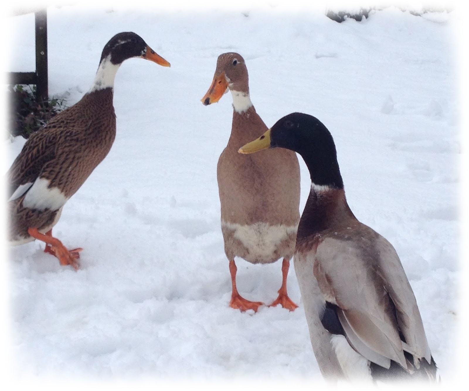 Noch liegt alles im Winterschlaf