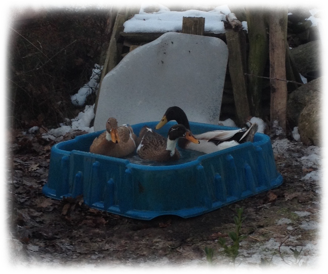Noch liegt alles im Winterschlaf