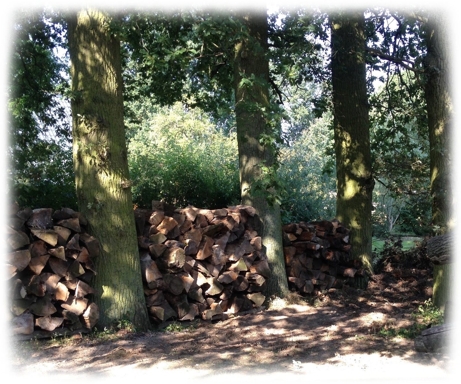 Altweibersommer im September