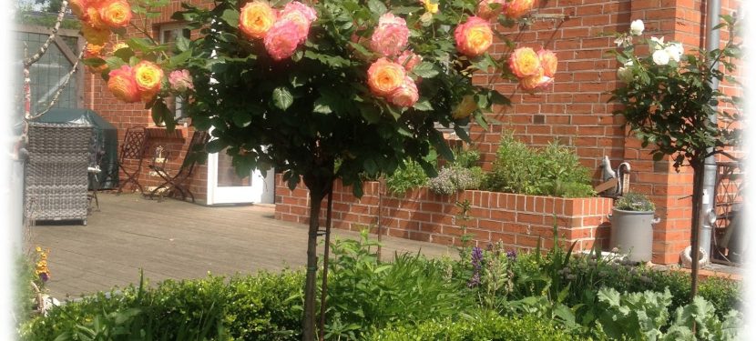 Abschied vom Sommer Abschied vom Sommer