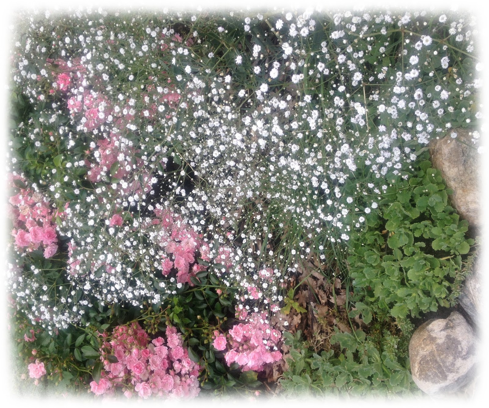 Abschied vom Sommer