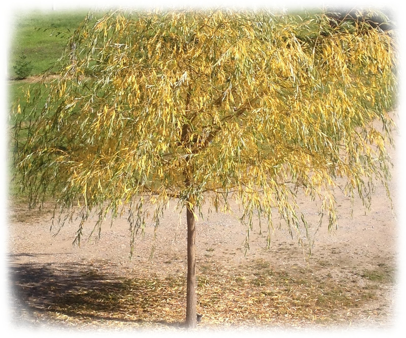 Abschied vom Sommer