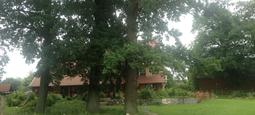 Der Alltag ist vielleicht nicht spektakulär Der Alltag ist vielleicht nicht spektakulär