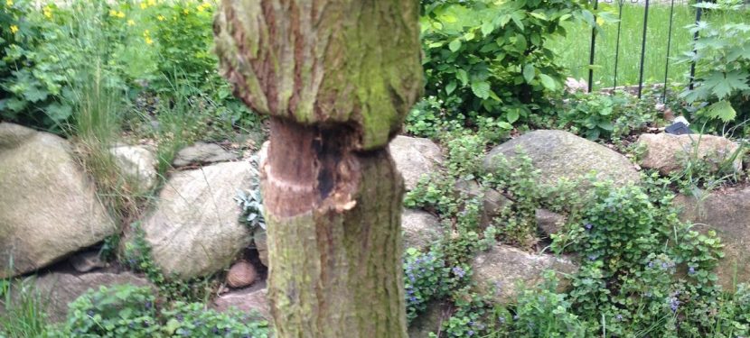 Sommer im Mai Sommer im Mai