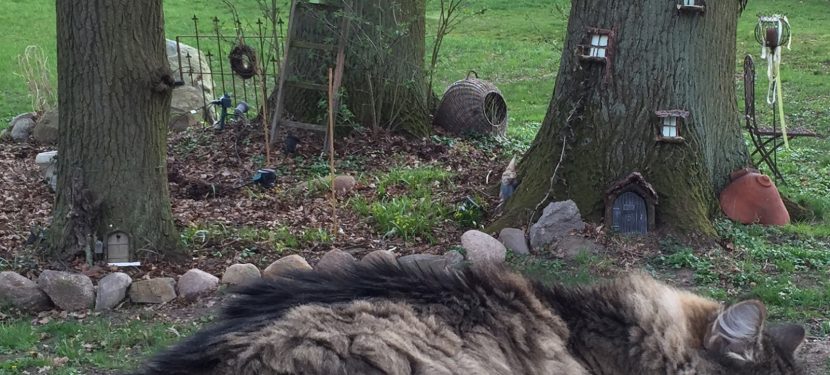 Ein Frühling voller Magie – Ein Frühling voller Magie –
