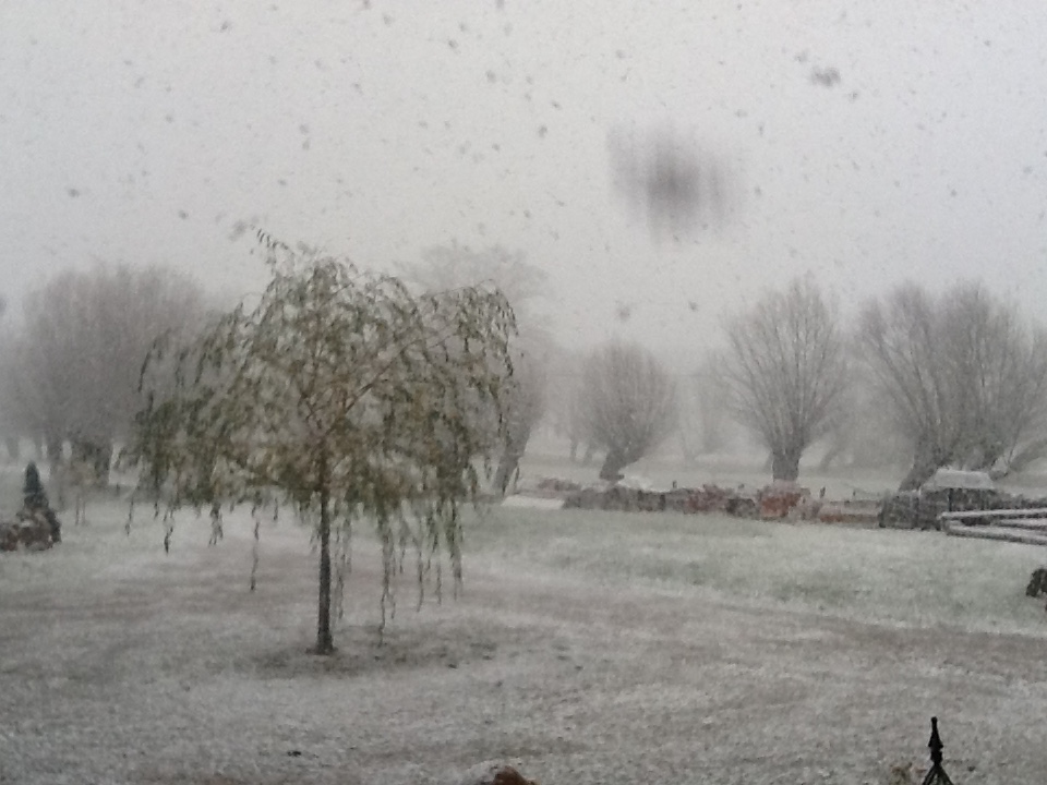 Der erste Schnee in diesem Jahr