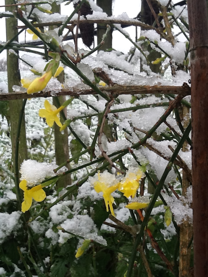 Der erste Schnee in diesem Jahr