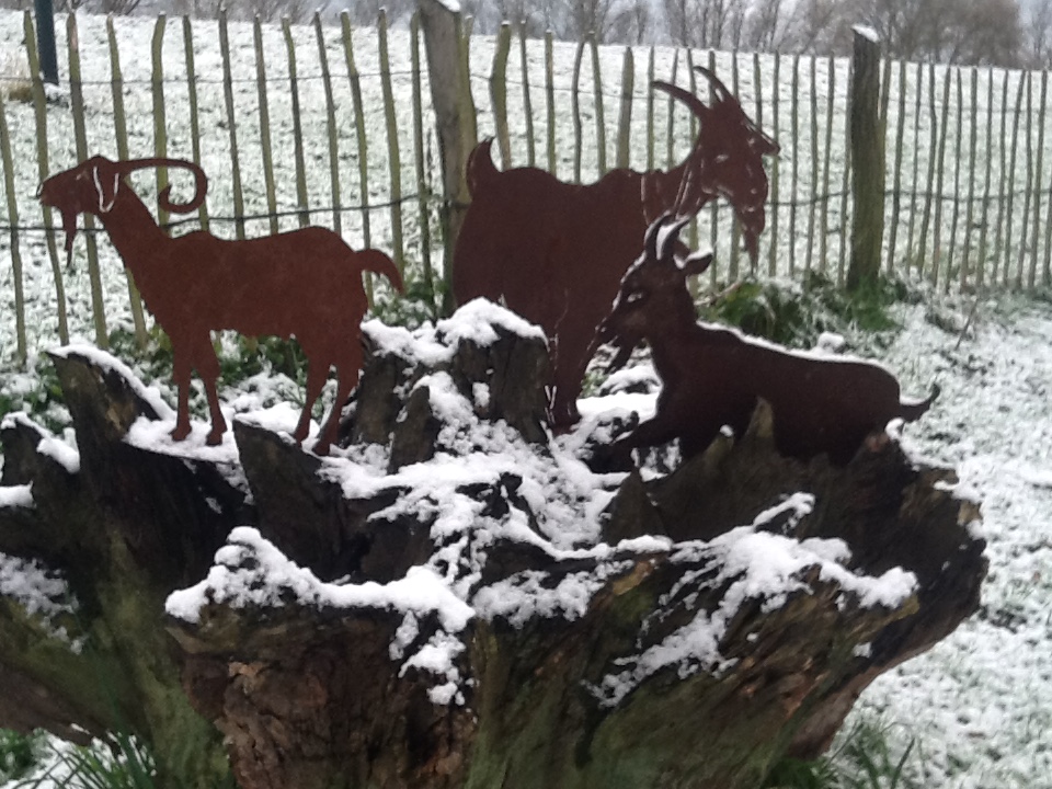 Der erste Schnee in diesem Jahr