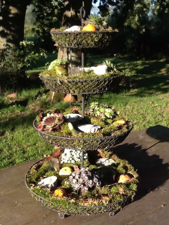 Einstimmung auf den Herbst