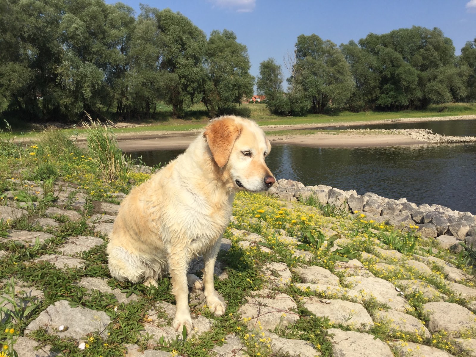 Hochsommer in Besandten