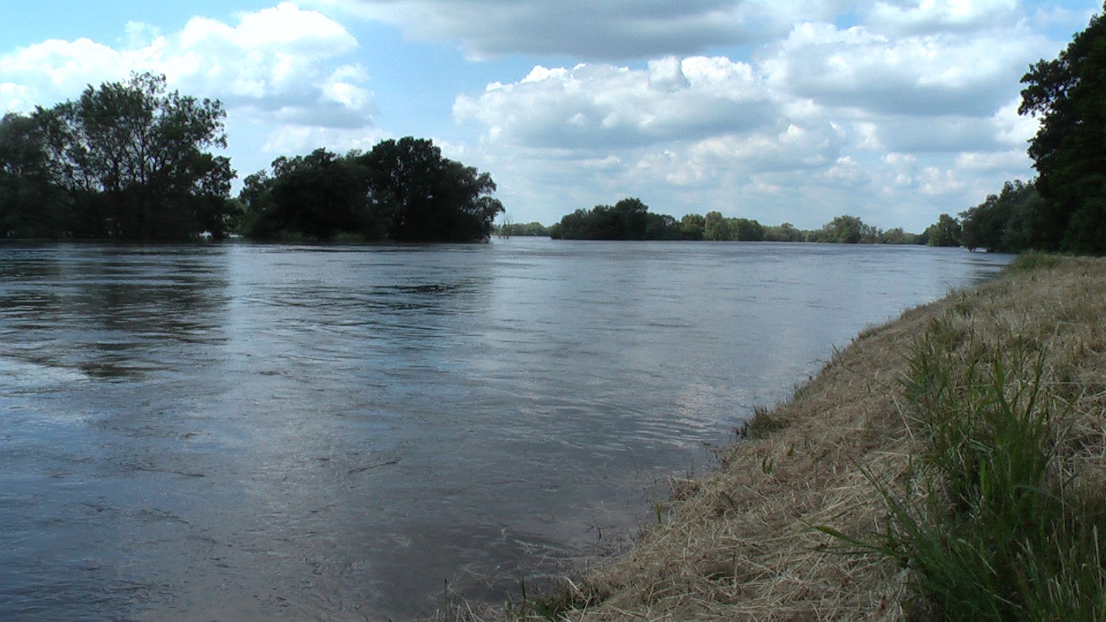 Hochwasser bis zur Deichkrone im Juni 2013