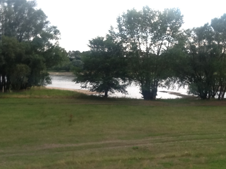 Elbe bei Niedrigwasser im Juli 2015