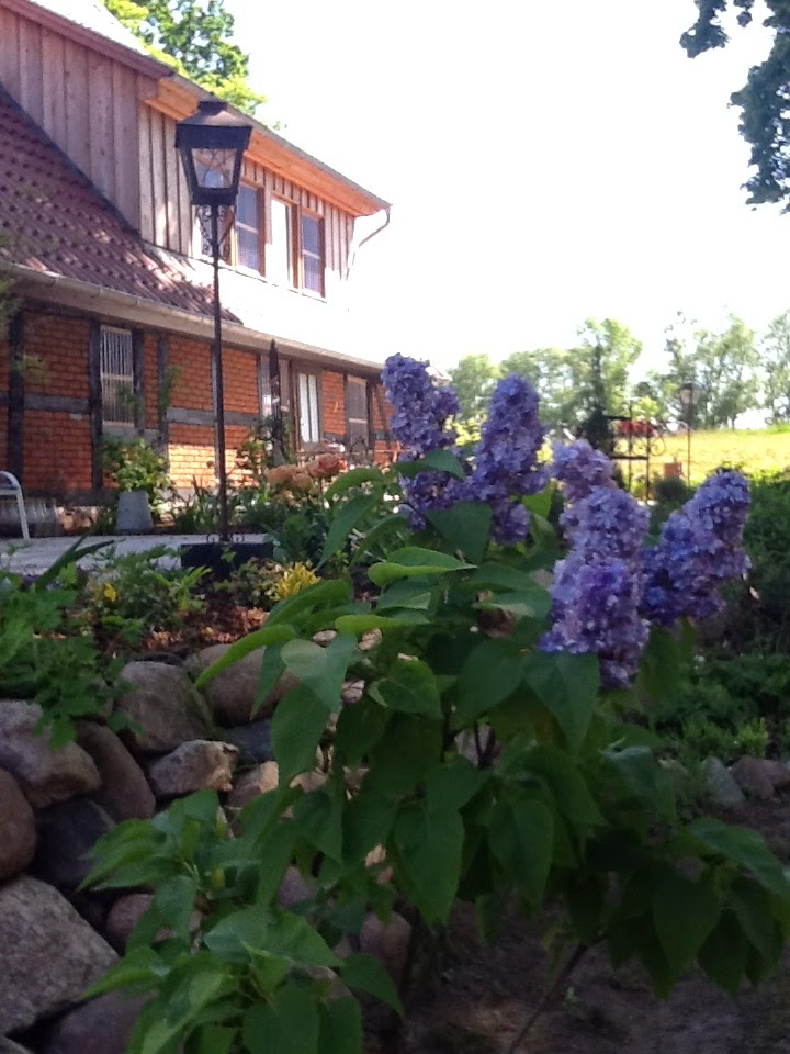 Alles braucht seine Zeit …