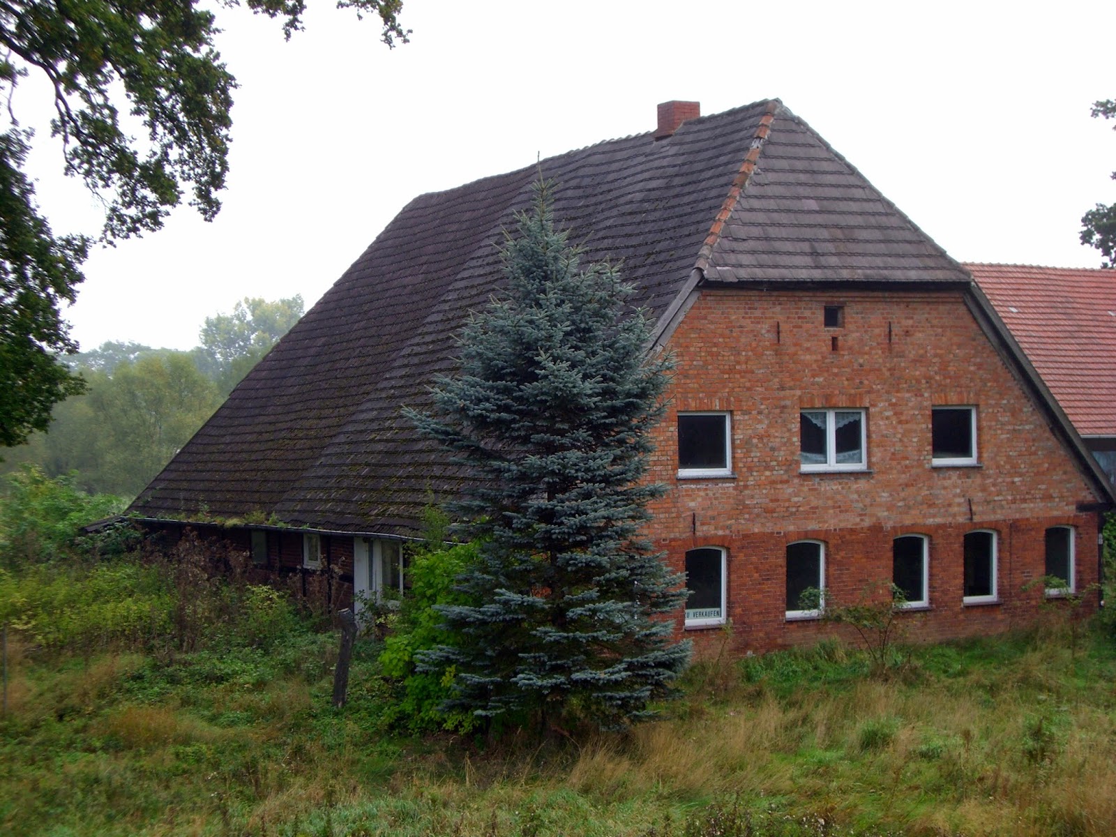 Frühlingserwachen