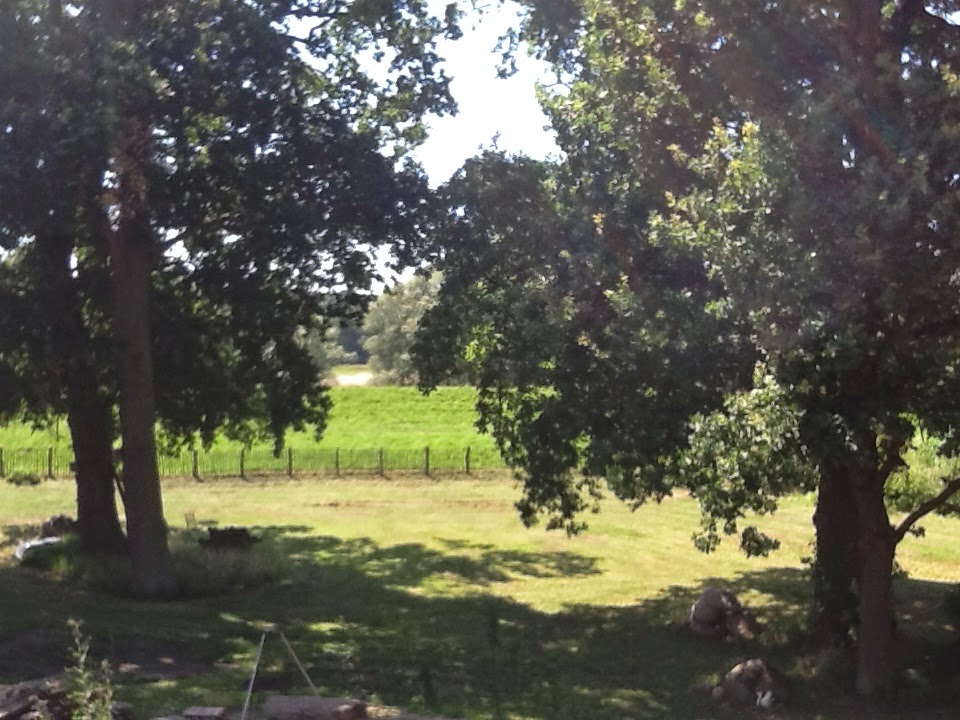 Urlaub zu Hause
