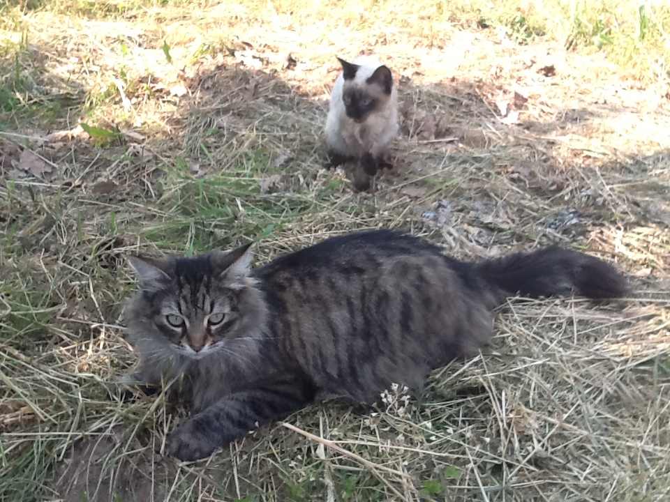 ... und noch ein Familienmitglied