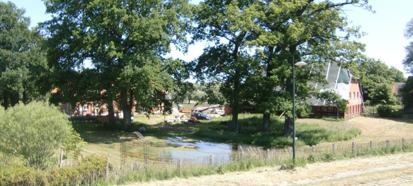 Endlich Sommer …. Endlich Sommer ….