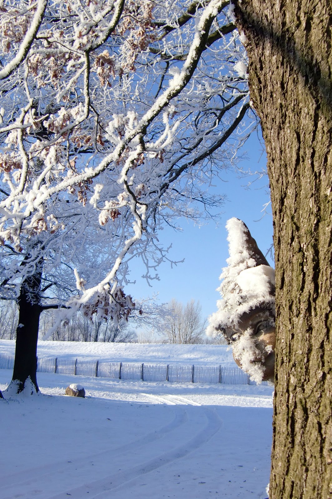 WINTER WONDER LAND