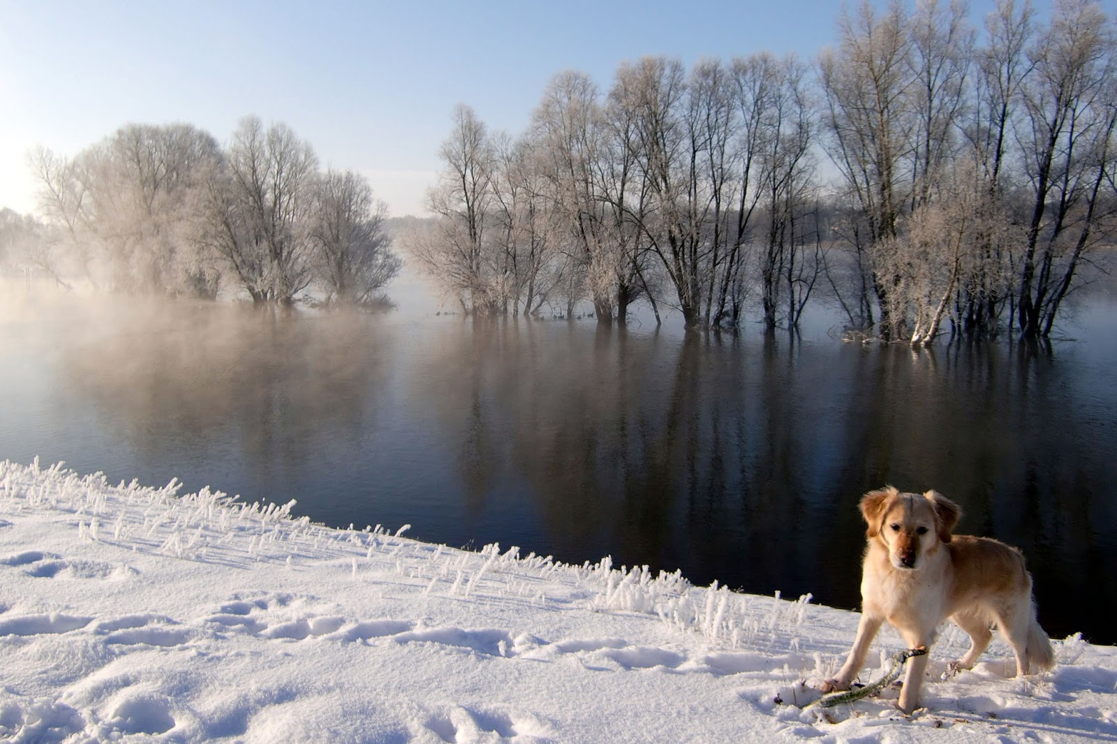 WINTER WONDER LAND