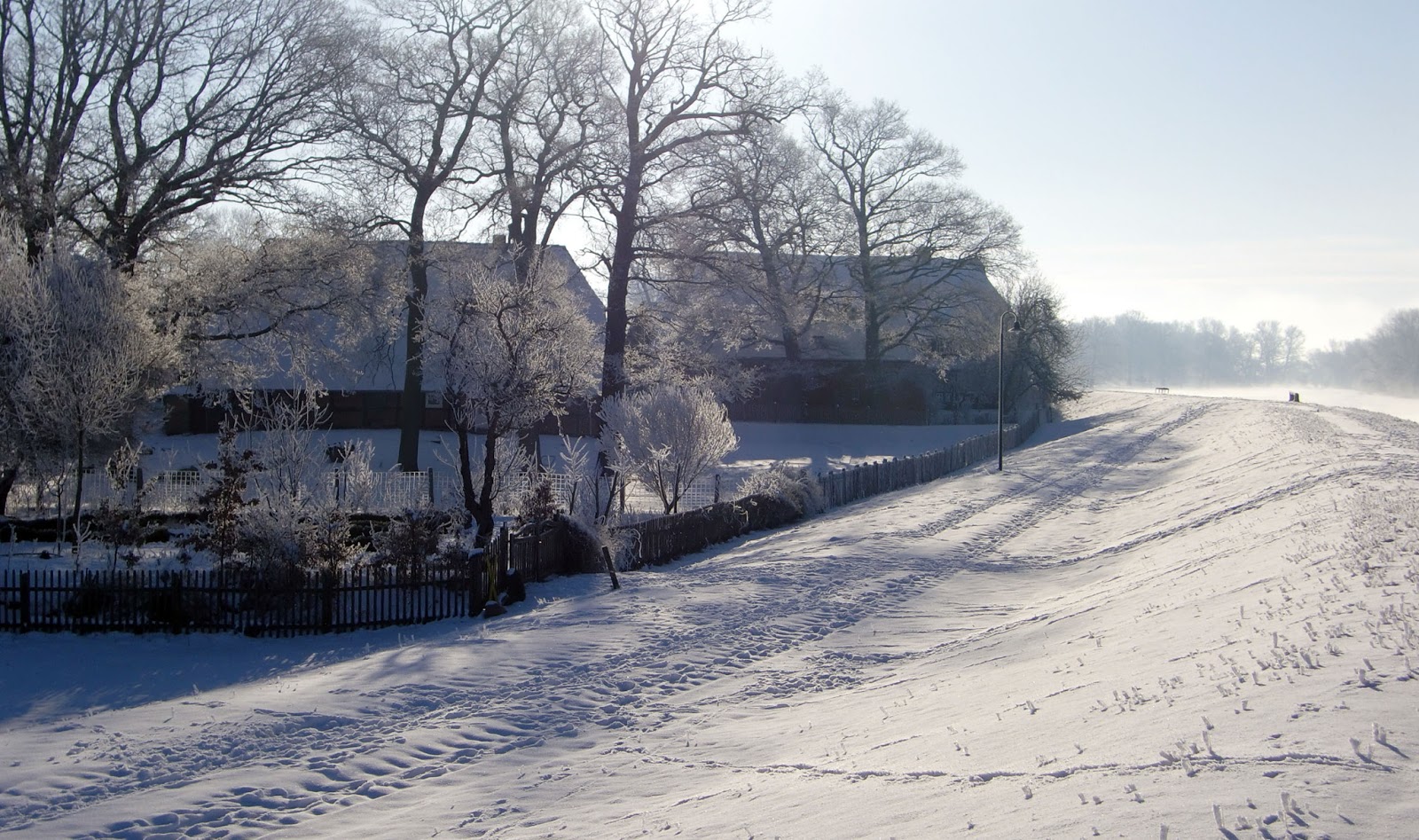 WINTER WONDER LAND