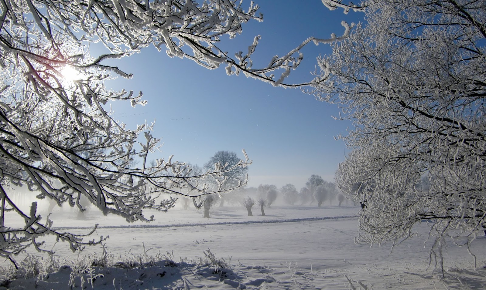 WINTER WONDER LAND