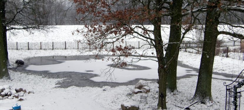 Abschied vom Winter