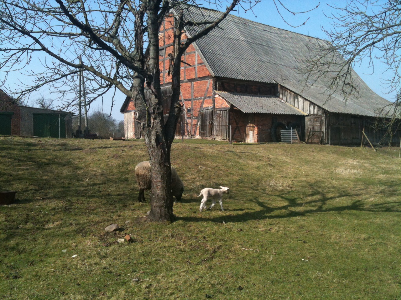 Umzug auf Raten