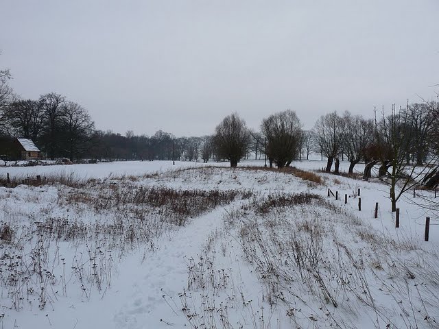 Blick Richtung Straße