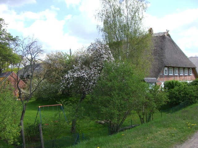 Zäune und Pflanzen am Deich