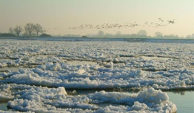 29.12.11 – Erste Post vom Amt 29.12.11 – Erste Post vom Amt